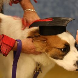 photograph by PeterW